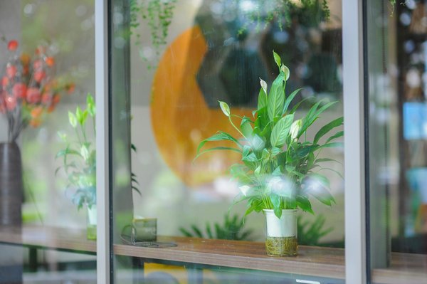 Découvrez les bagues tendances 2024